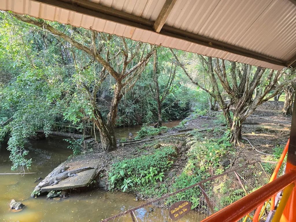Madagui Forest City