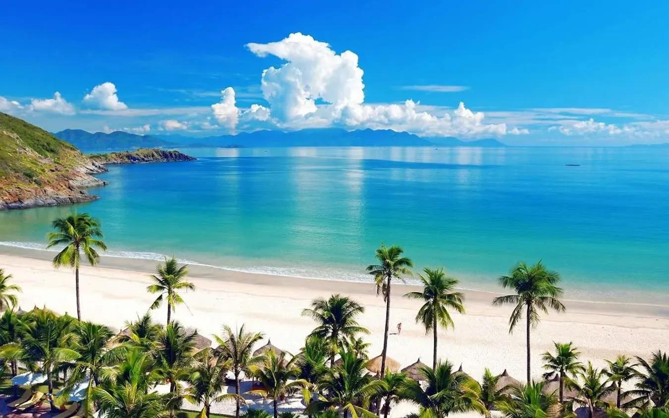 Pristine and tranquil beauty of the beach under a clear blue sky.