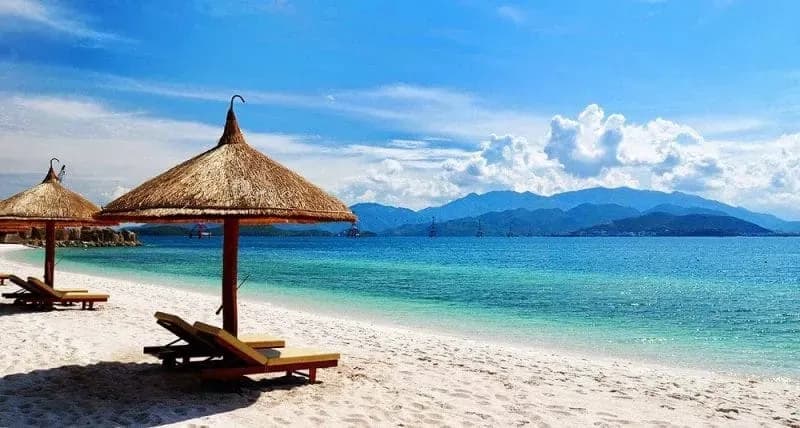 Beach with palm shades and sunbeds under a clear sky.  