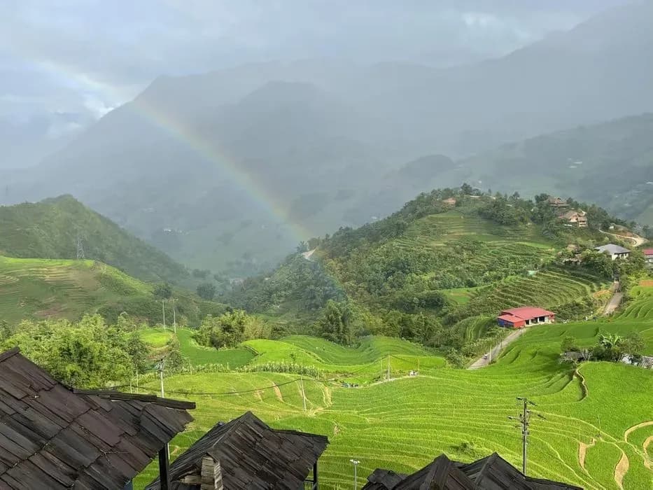 Green rice fields stretch beneath a rainbow.